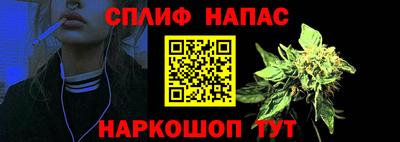 хмурый Дубна