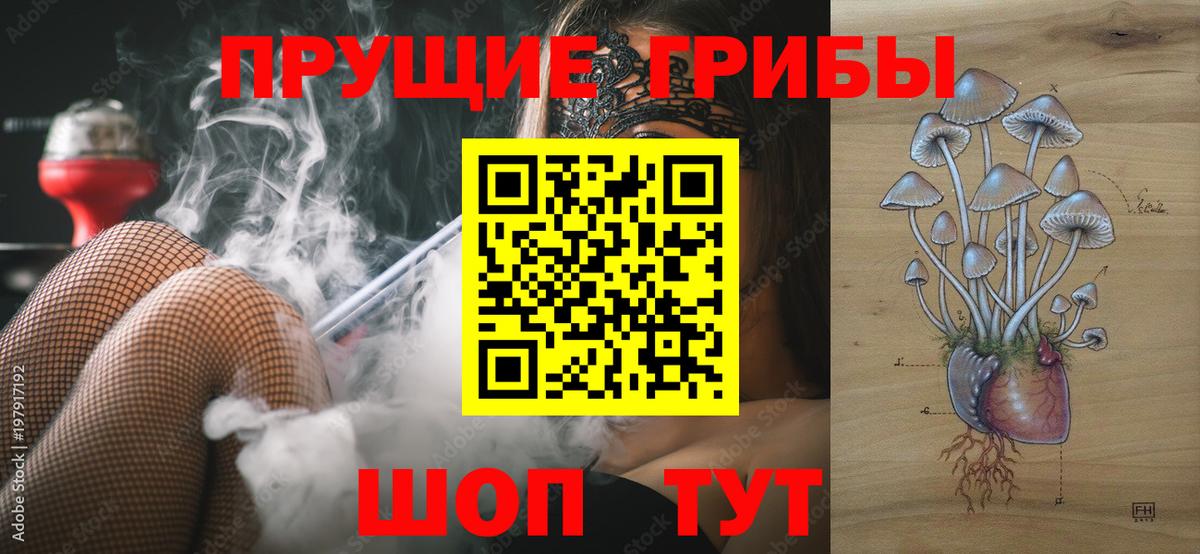 Галлюциногенные грибы прущие грибы Лысьва
